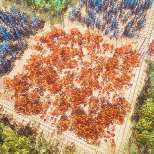 Forest of Misdirections